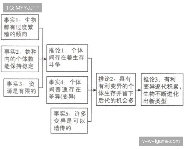 萨卡：从左后卫到右边锋的多位置进化解析
